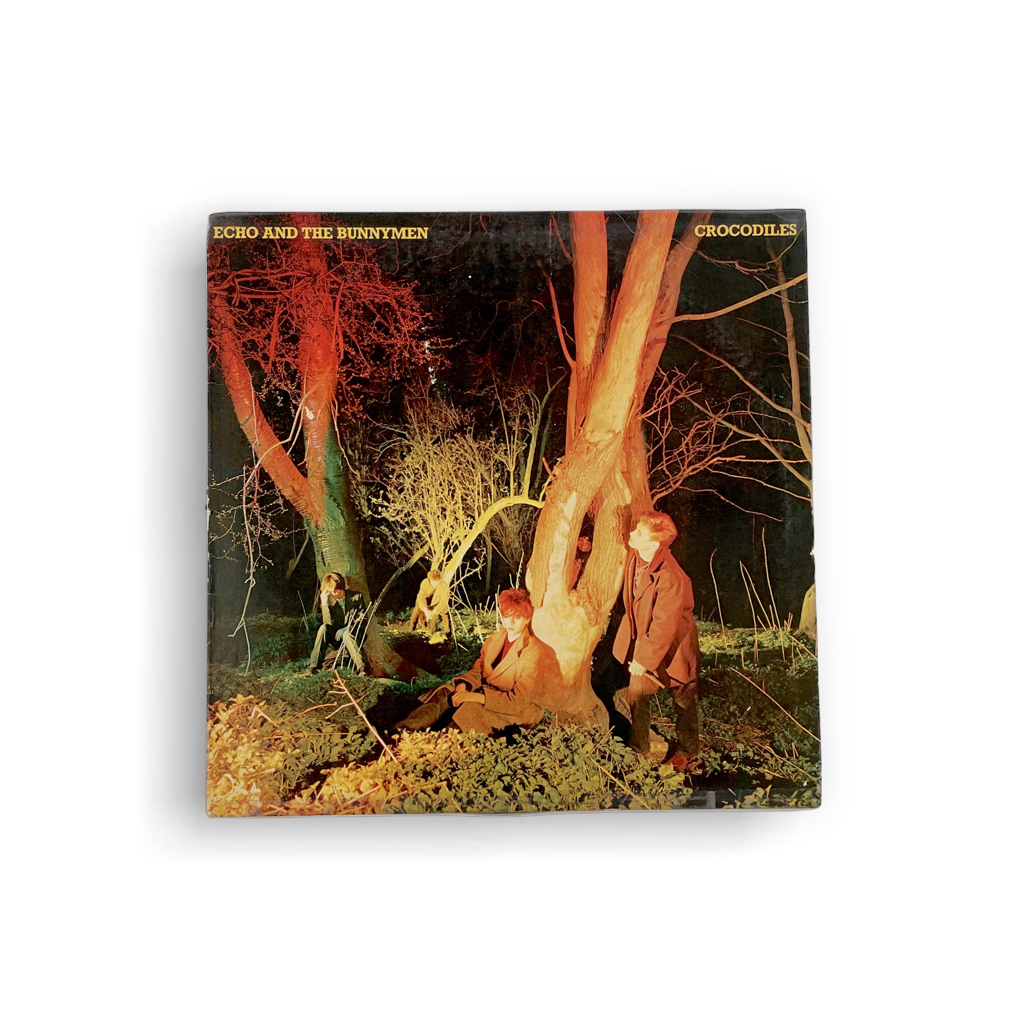 Echo & The Bunnymen • Crocodiles • 1980 | Commune Records
